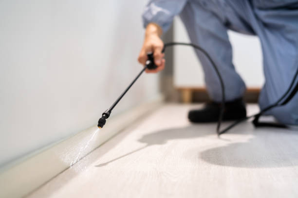 Licensed Termite Control service in Leonia, NJ - Nex Pest Control