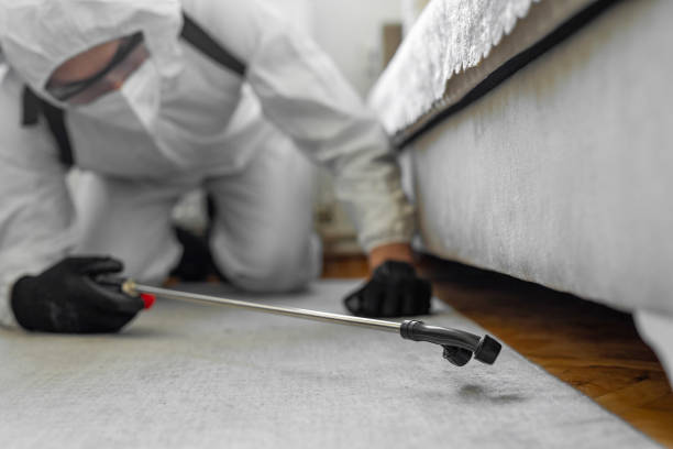 Professional Termite Control technician working in Leonia, NJ