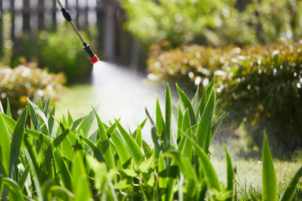 24/7 Emergency Termite Control experts in Leonia, NJ