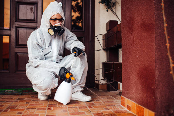 Reliable Termite Control contractor in Leonia, NJ by Nex Pest Control